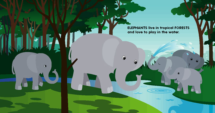 ELEPHANTS