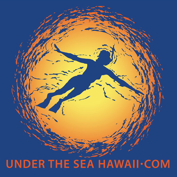 Under The Sea Hawaii Logotype Rendered