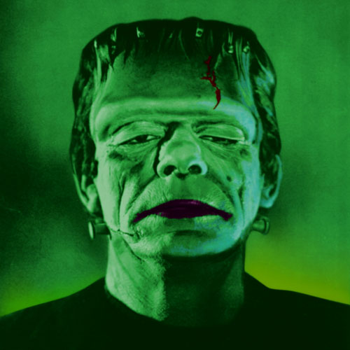 Frankenstein - Boris Karloff Portrait